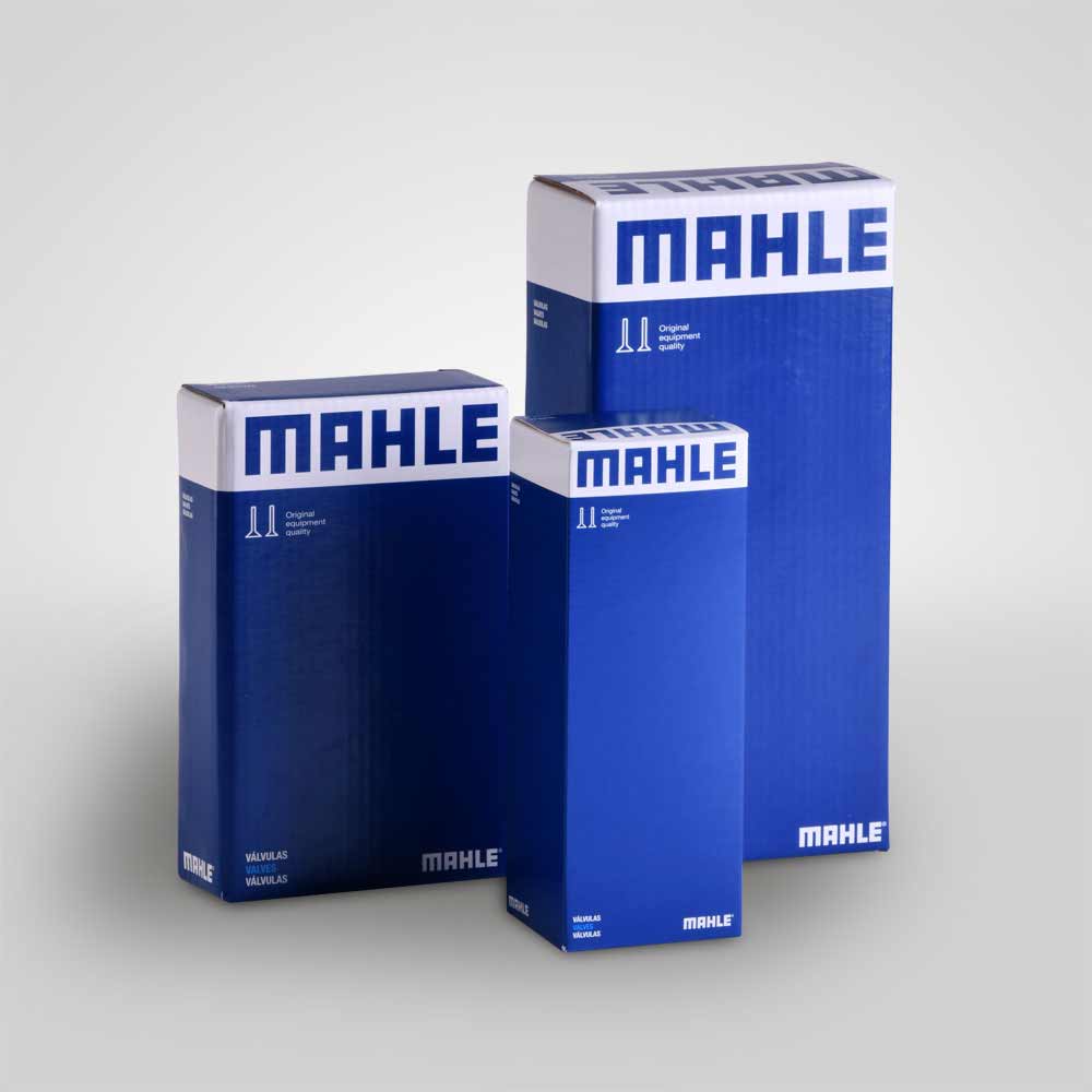 Cajas para valvulas y repuestos del automotor